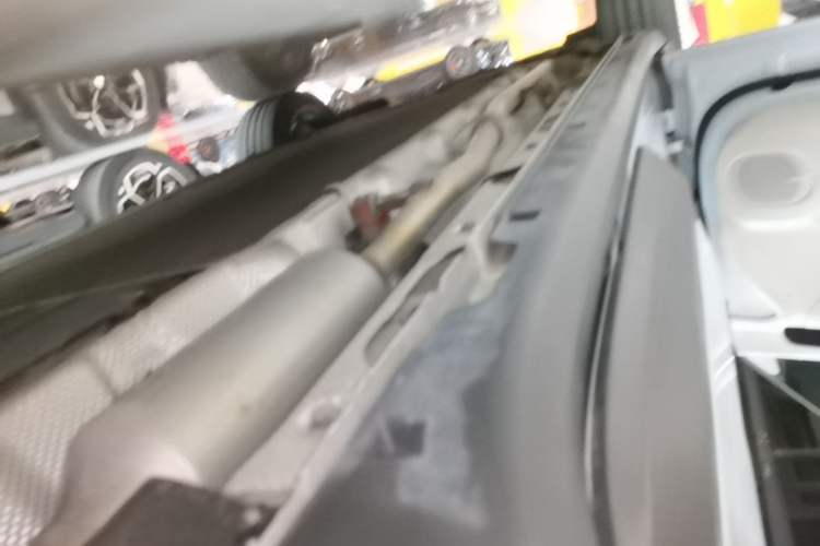 Used Leapmotor C11 2023 Range-Extended 200 Comfort Edition Left Side Sill