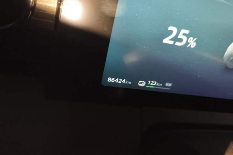 Used Leapmotor C11 2023 Pure Electric 500 Smart Edition Odometer Close Up