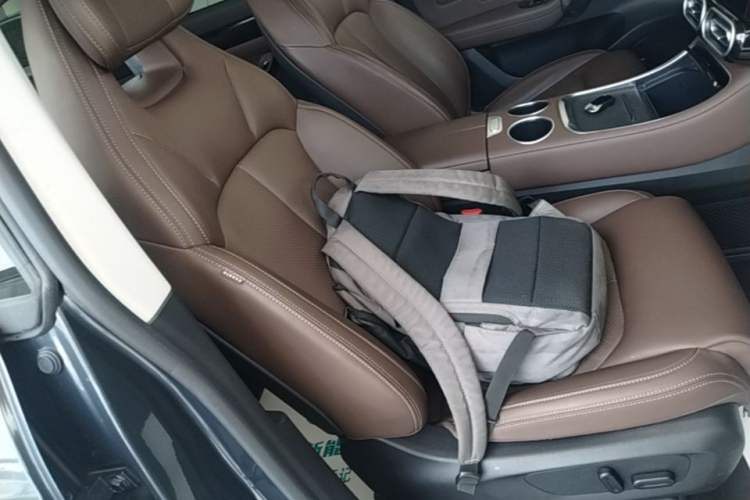 Used Leapmotor C11 2023 Pure Electric 500 Comfort Edition Right Front Seat