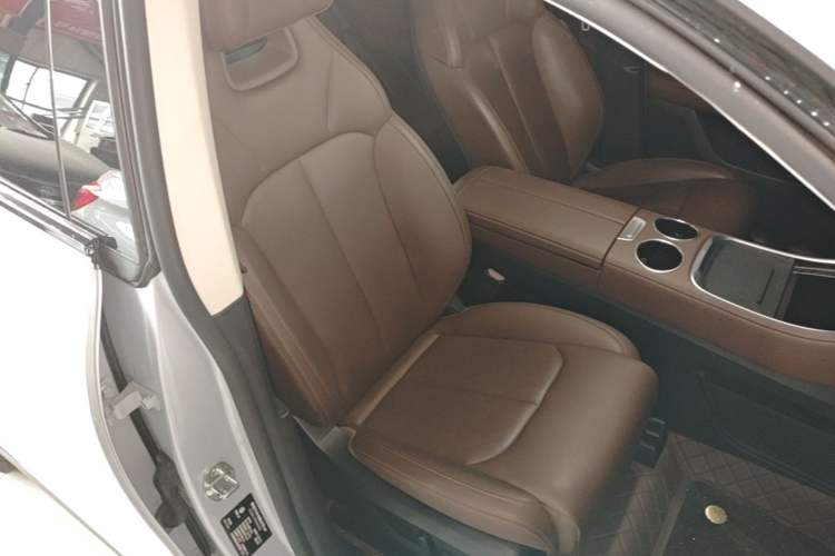 Used Leapmotor C11 2023 Range-Extended 180 Comfort Edition Right Front Seat