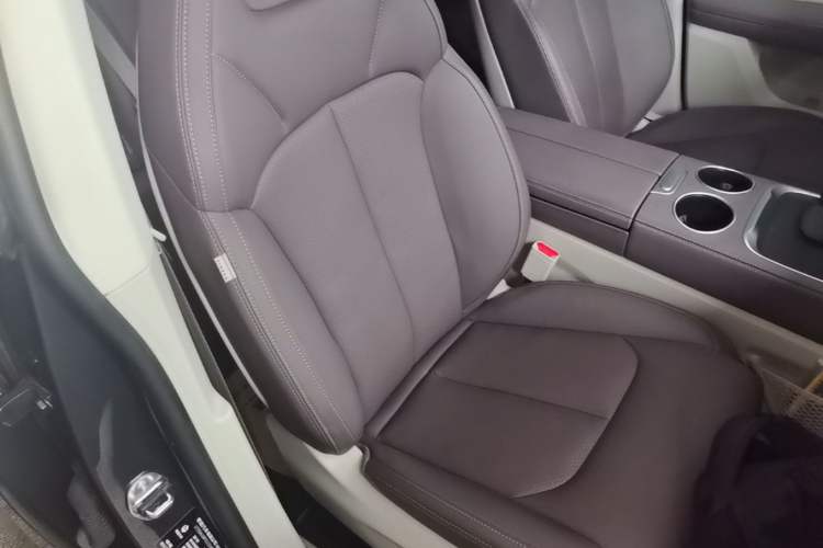 Used Leapmotor C11 2023 Range-Extended 200 Comfort Edition Right Front Seat