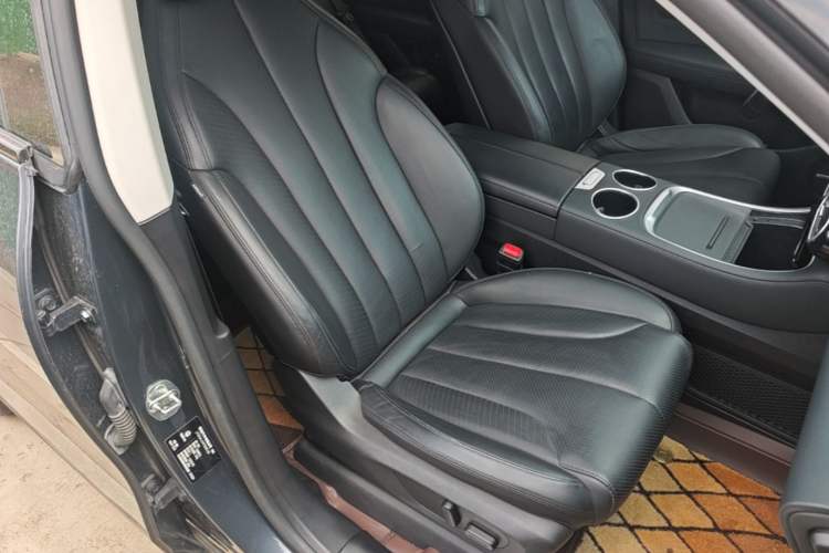 Used Leapmotor C11 2023 Pure Electric 500 Comfort Edition Right Front Seat