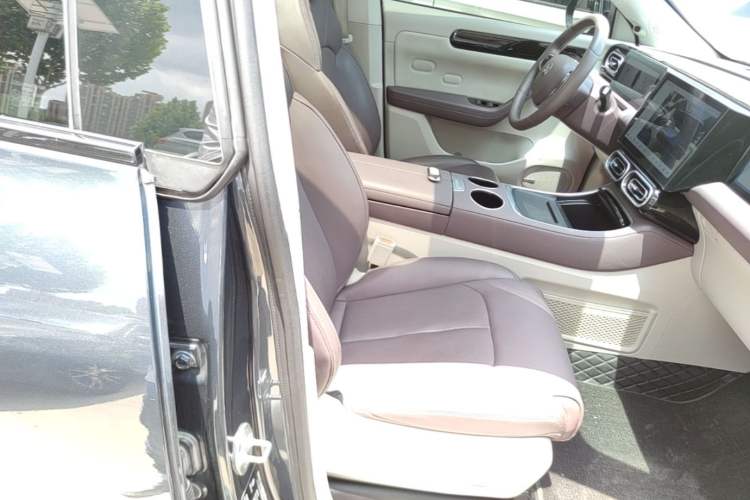 Used Leapmotor C11 2023 Range-Extended 180 Comfort Edition Right Front Seat