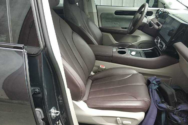 Used Leapmotor C11 2023 Range-Extended 180 Comfort Edition Right Front Seat