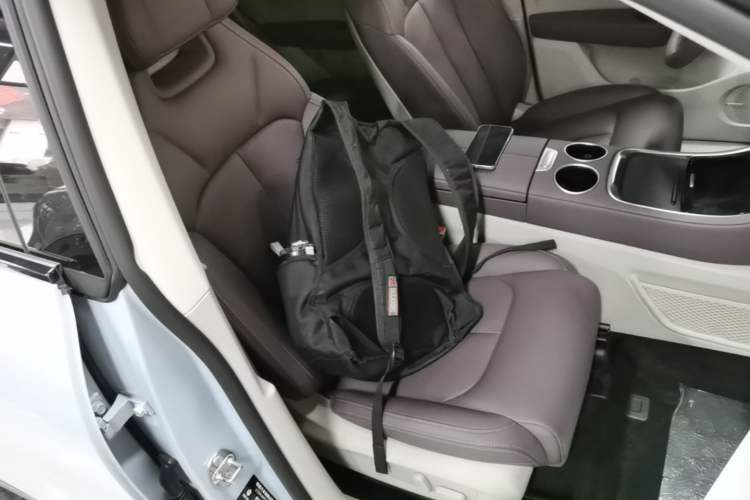 Used Leapmotor C11 2023 Range-Extended 200 Comfort Edition Right Front Seat
