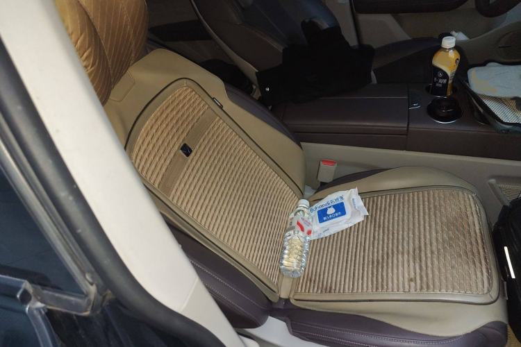 Used Leapmotor C11 2023 Pure Electric 500 Comfort Edition Right Front Seat
