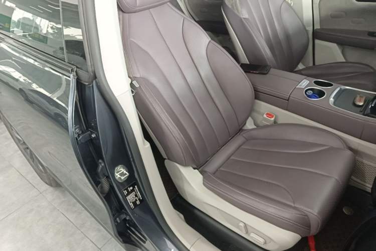 Used Leapmotor C11 2023 Range-Extended 180 Comfort Edition Right Front Seat