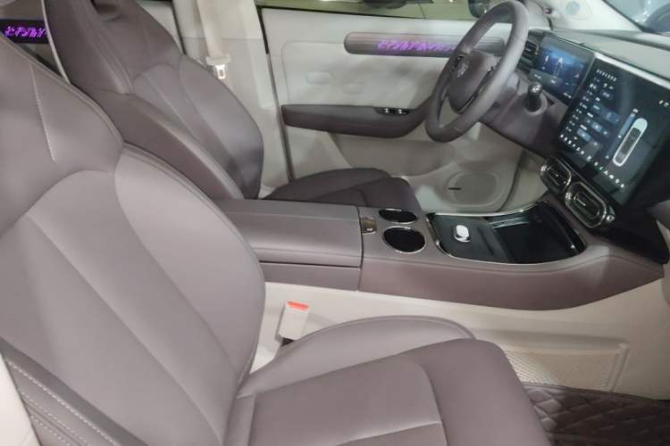 Used Leapmotor C11 2023 Pure Electric 500 Smart Edition Right Front Seat