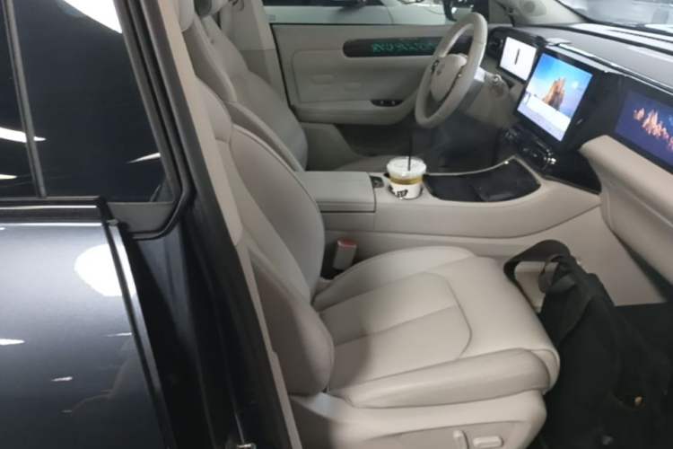 Used Leapmotor C11 2023 Range-Extended 285 Smart Enjoyment Edition Right Front Seat