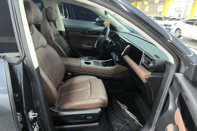Used Leapmotor C11 2023 Range-Extended 180 Comfort Edition Right Front Seat