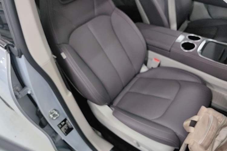 Used Leapmotor C11 2023 Pure Electric 500 Comfort Edition Right Front Seat