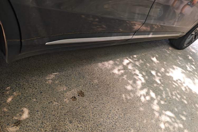 Used Leapmotor C11 2023 Pure Electric 500 Smart Edition Right Side Sill