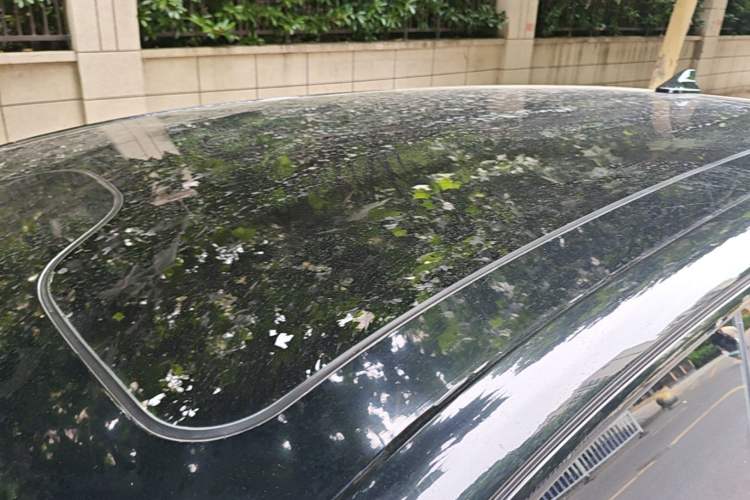 Used Leapmotor C11 2023 Range-Extended 180 Comfort Edition Roof
