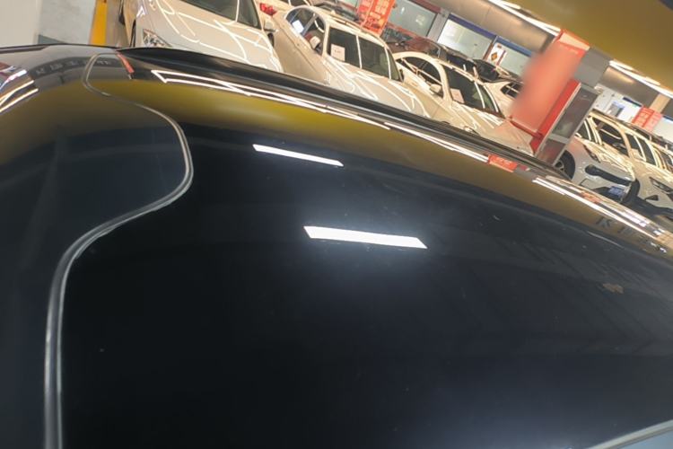 Used Leapmotor C11 2023 Pure Electric 500 Smart Edition Roof