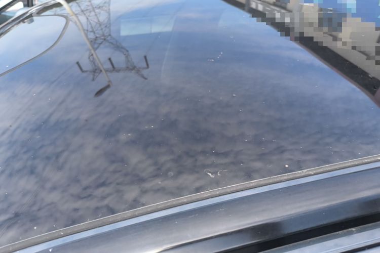 Used Leapmotor C11 2023 Pure Electric 500 Smart Edition Roof