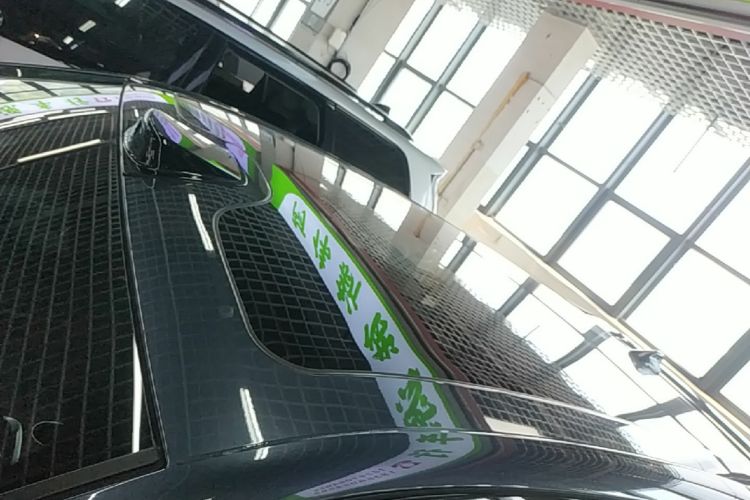 Used Leapmotor C11 2023 Pure Electric 500 Comfort Edition Roof