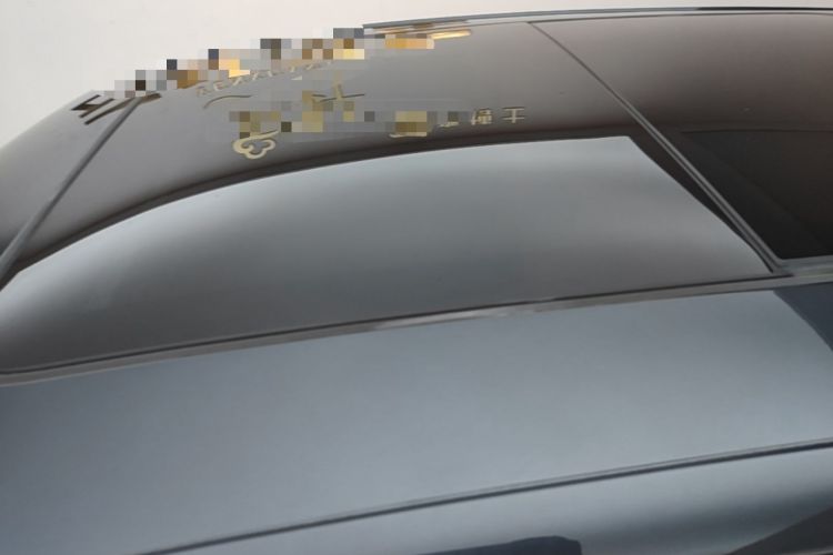 Used Leapmotor C11 2023 Range-Extended 300 Comfort Edition Roof