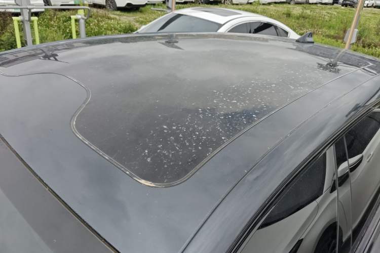 Used Leapmotor C11 2023 Pure Electric 500 Comfort Edition Roof