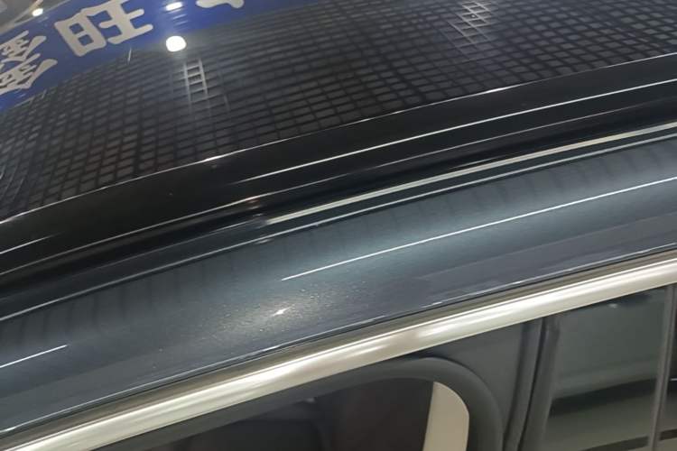 Used Leapmotor C11 2023 Pure Electric 500 Smart Edition Roof