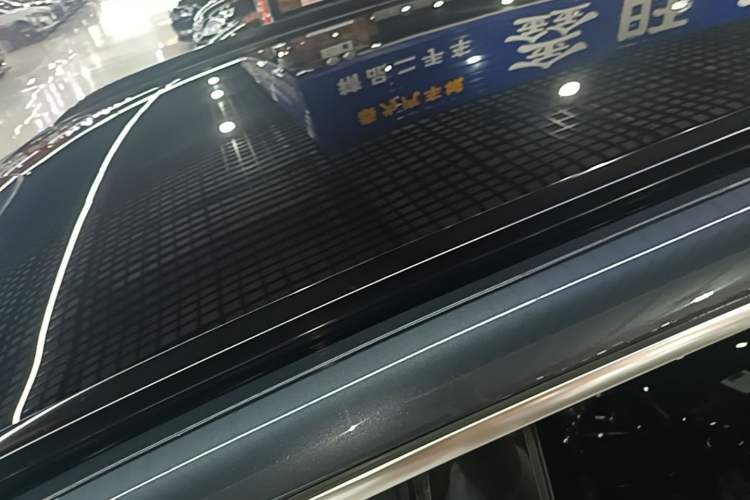 Used Leapmotor C11 2023 Pure Electric 500 Smart Edition Roof