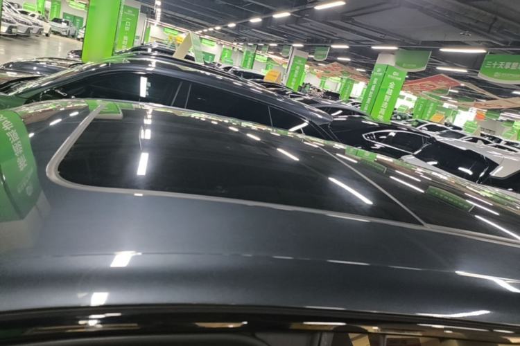 Used Leapmotor C11 2023 Pure Electric 500 Comfort Edition Roof