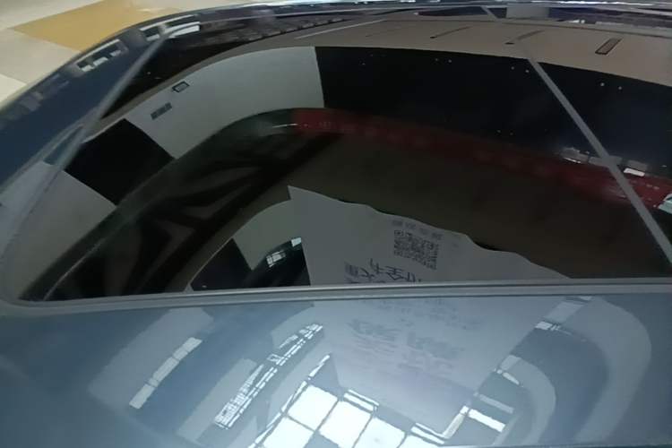 Used Leapmotor C11 2023 Pure Electric 500 Comfort Edition Roof