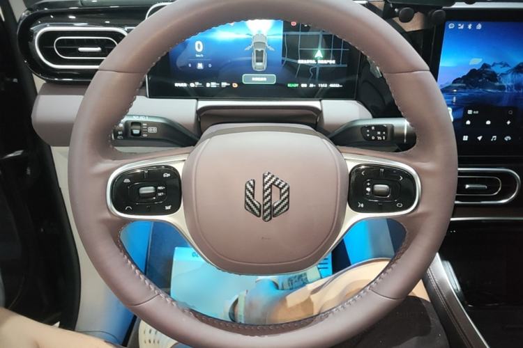 Used Leapmotor C11 2023 Range-Extended 180 Comfort Edition Steering Wheel