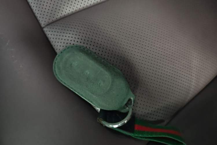 Used Leapmotor C11 2023 Range-Extended 180 Comfort Edition Vehicle Key