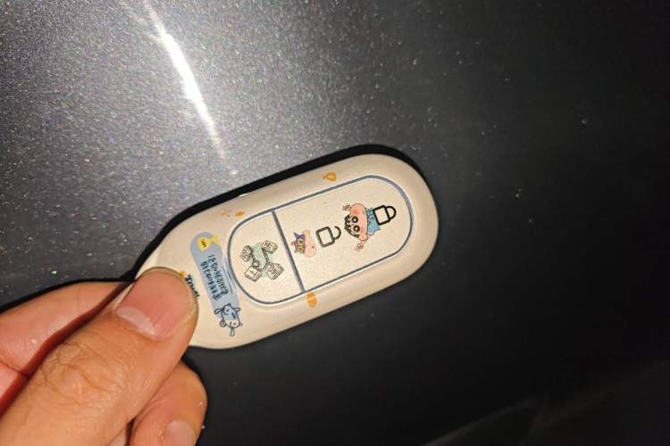 Used Leapmotor C11 2023 Range-Extended 180 Comfort Edition Vehicle Key
