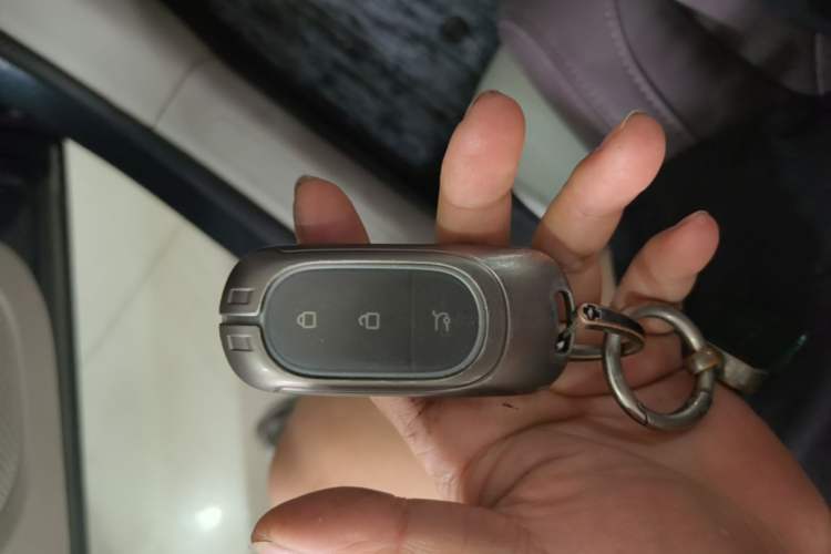 Used Leapmotor C11 2023 Pure Electric 500 Comfort Edition Vehicle Key