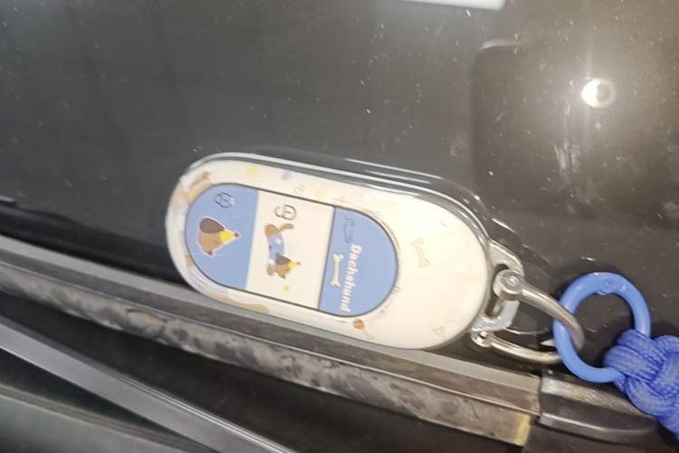 Used Leapmotor C11 2023 Range-Extended 300 Smart Enjoyment Edition Vehicle Key