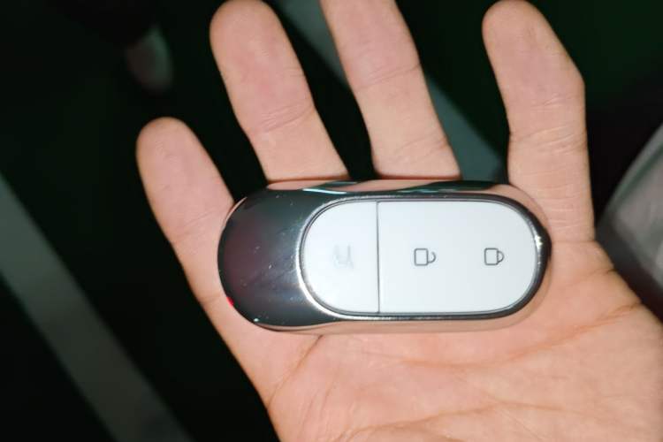Used Leapmotor C11 2023 Pure Electric 500 Comfort Edition Vehicle Key
