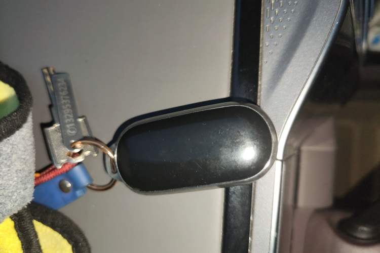 Used Leapmotor C11 2023 Pure Electric 500 Comfort Edition Vehicle Key