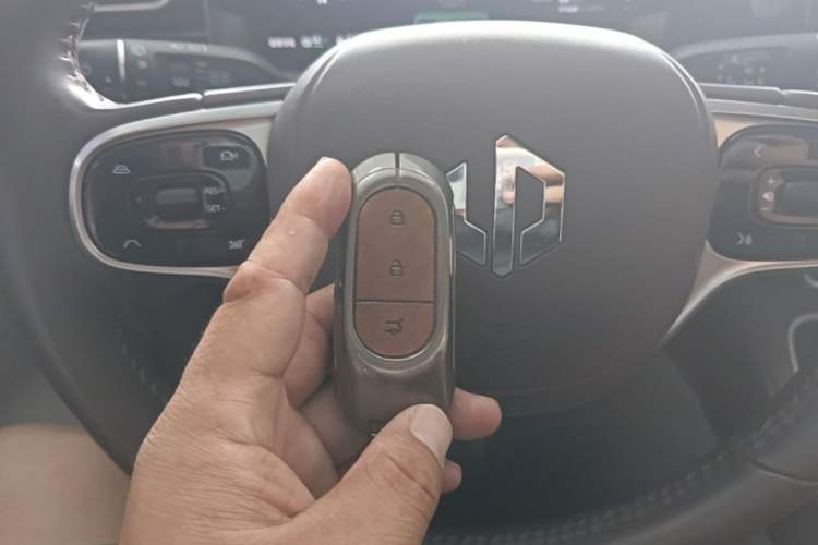 Used Leapmotor C11 2023 Range-Extended 180 Comfort Edition Vehicle Key