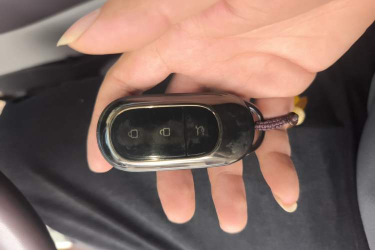 Used Leapmotor C11 2023 Pure Electric 580 All-Wheel-Drive Performance Edition Vehicle Key
