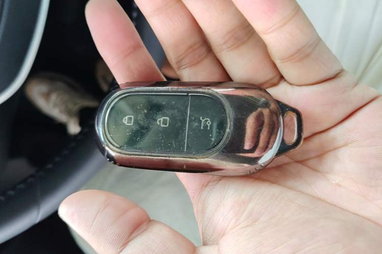 Used Leapmotor C11 2023 Range-Extended 180 Comfort Edition Vehicle Key