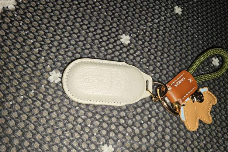 Used Leapmotor C11 2023 Pure Electric 500 Comfort Edition Vehicle Key