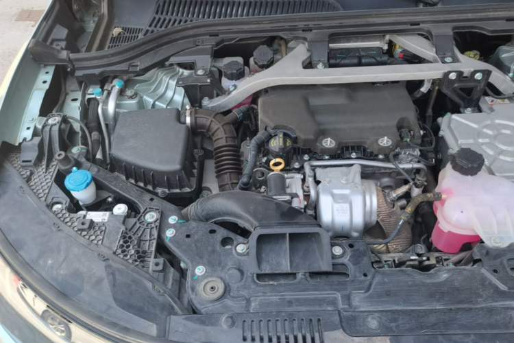 Used Leapmotor C11 2023 Range-Extended 285 Smart Enjoyment Edition Engine Bay Right