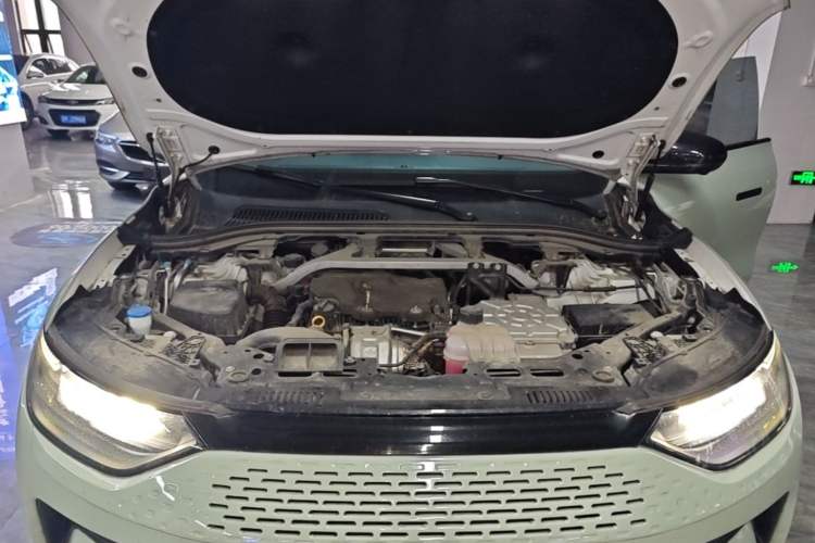 Used Leapmotor C11 2023 Range-Extended 180 Comfort Edition Engine Bay