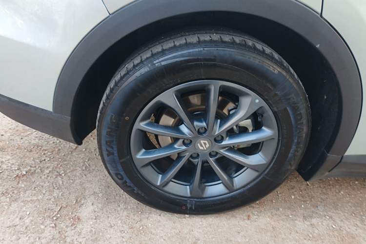 Used Leapmotor C11 2023 Pure Electric 500 Comfort Edition Exterior 8