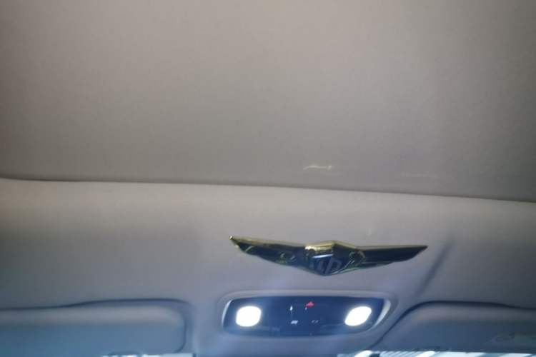 Used Leapmotor C11 2023 Pure Electric 500 Comfort Edition Headliner