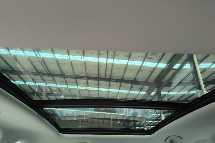 Used Leapmotor C11 2023 Pure Electric 500 Comfort Edition Headliner