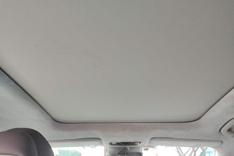 Used Leapmotor C11 2023 Extended-Range 285 Comfort Edition Headliner