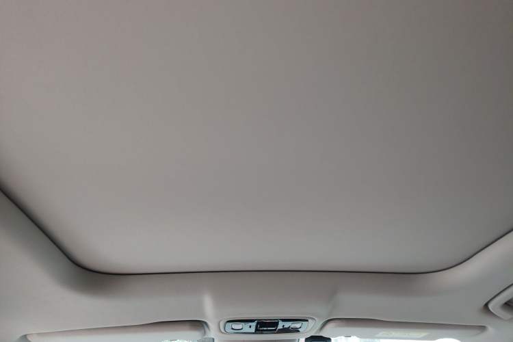 Used Leapmotor C11 2023 Range-Extended 180 Comfort Edition Headliner