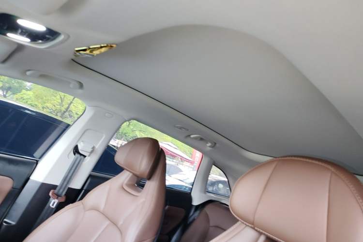 Used Leapmotor C11 2023 Pure Electric 500 Comfort Edition Headliner