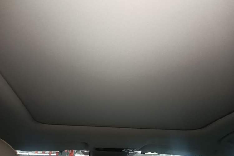 Used Leapmotor C11 2023 Range-Extended 285 Smart Enjoyment Edition Headliner