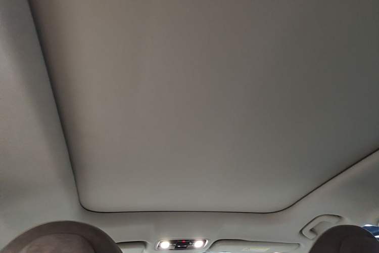 Used Leapmotor C11 2023 Extended-Range 285 Comfort Edition Headliner