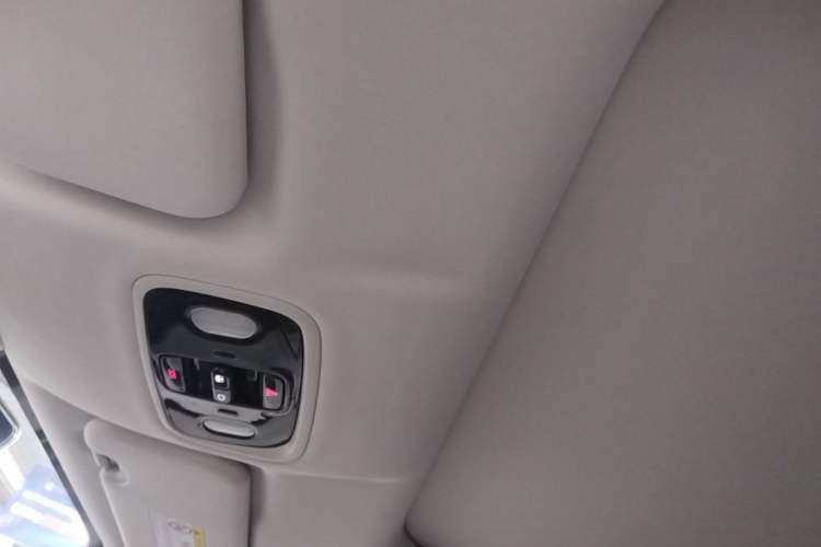 Used Leapmotor C11 2023 Pure Electric 500 Smart Edition Headliner