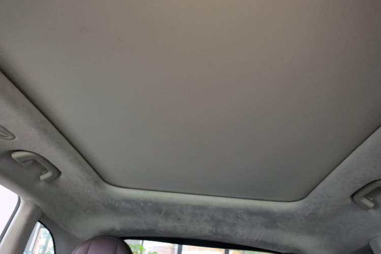 Used Leapmotor C11 2023 Pure Electric 500 Smart Edition Headliner