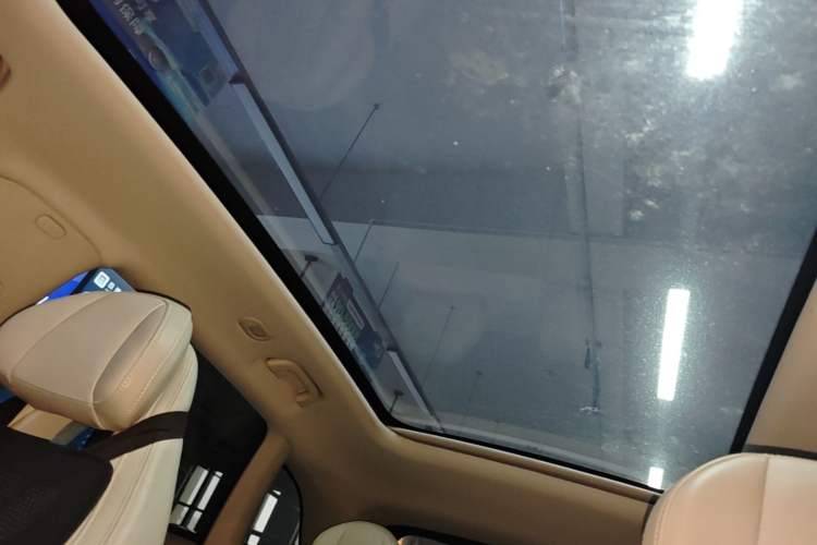 Used Leapmotor C11 2023 Range-Extended 180 Comfort Edition Headliner
